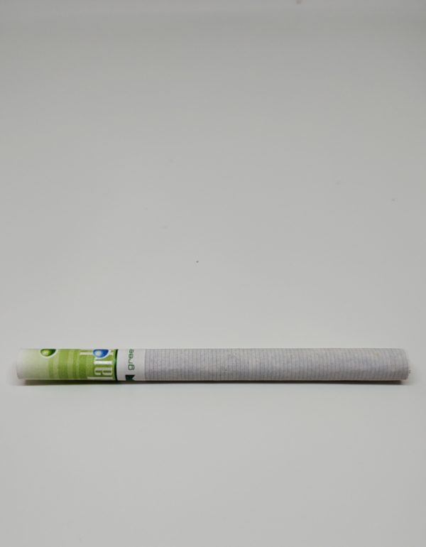 Marlboro Vista Green Fusion (XL) - Image 8