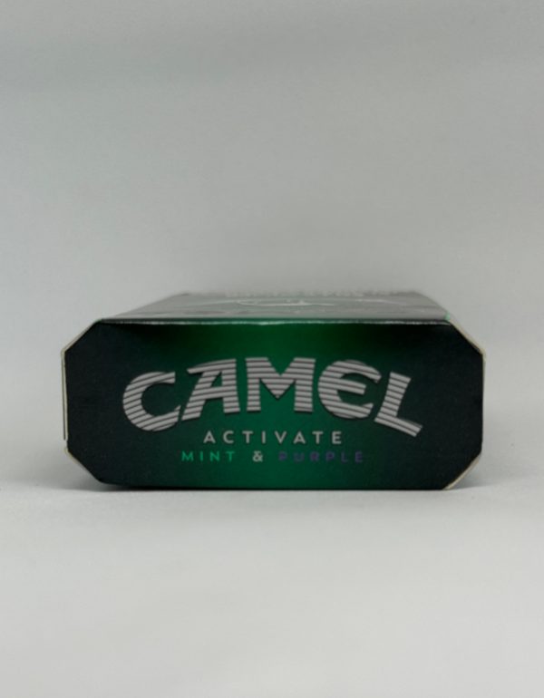 Camel Activate Mint&Purple - Image 6