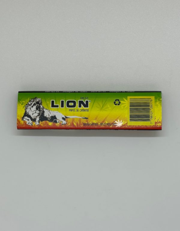 Lion - Image 2