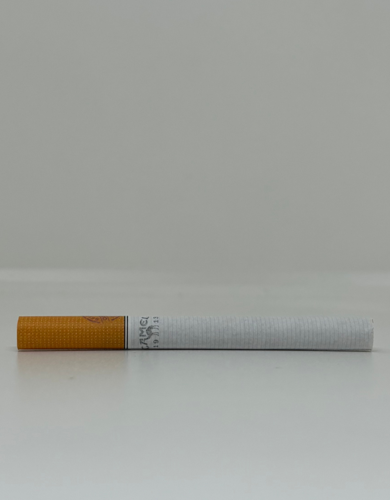 Camel Legend - Image 8